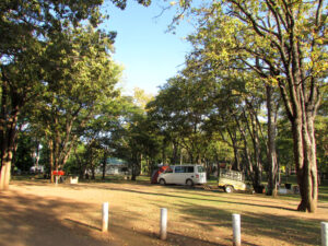 Campsite